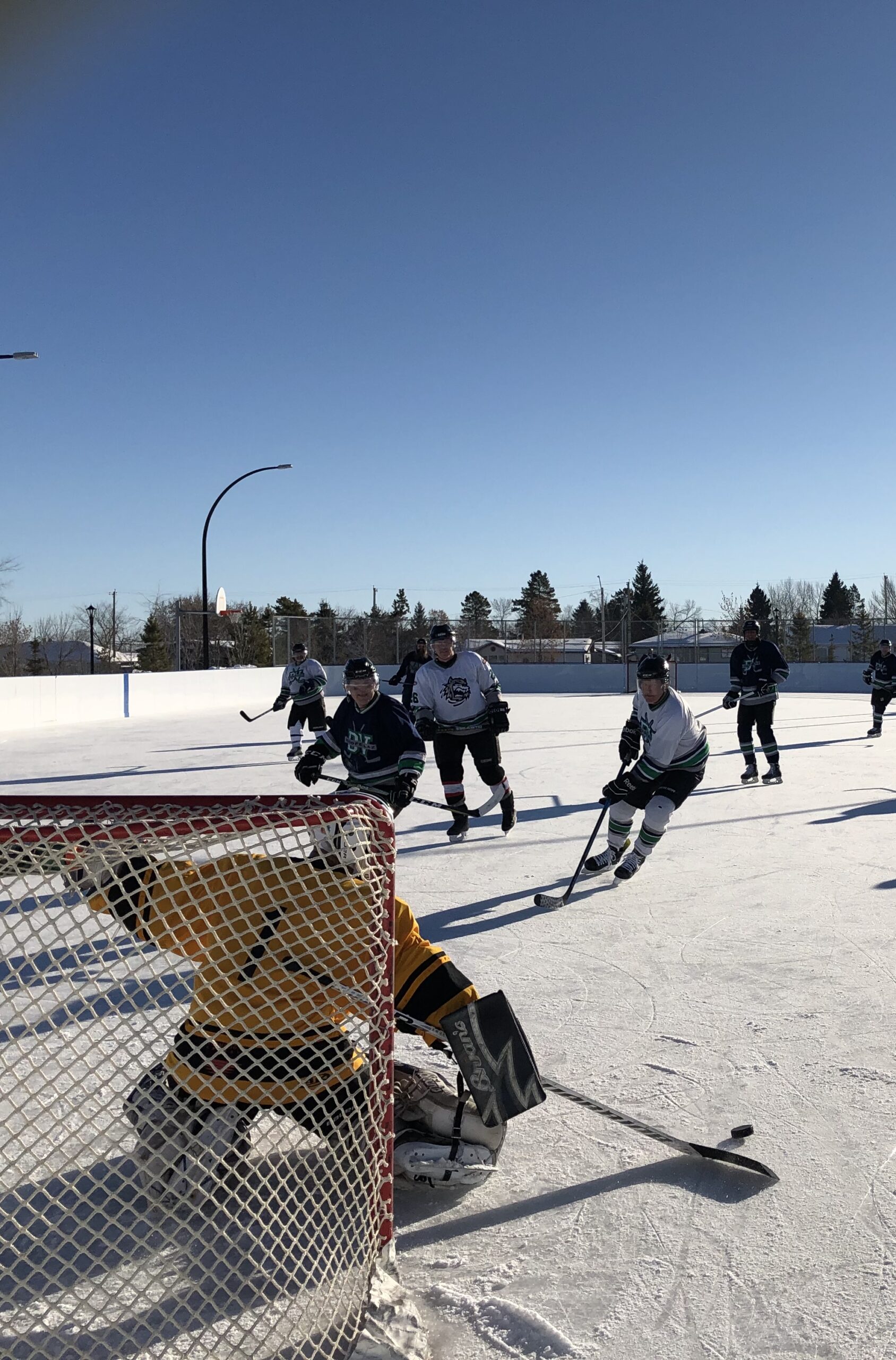 Read more about the article Ten winter experiences close to home