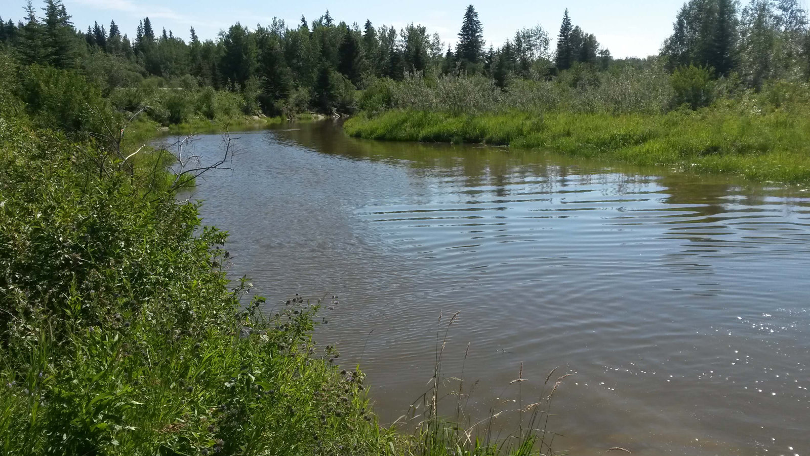You are currently viewing Lobstick River