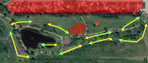 Read more about the article Disc golf proposal on target for development