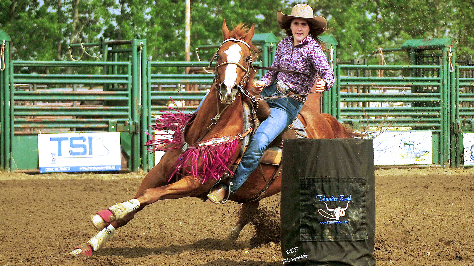 Read more about the article West of the 5th Rodeo