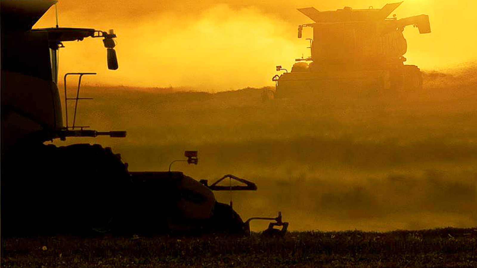 You are currently viewing Dry spell spells trouble for farmers