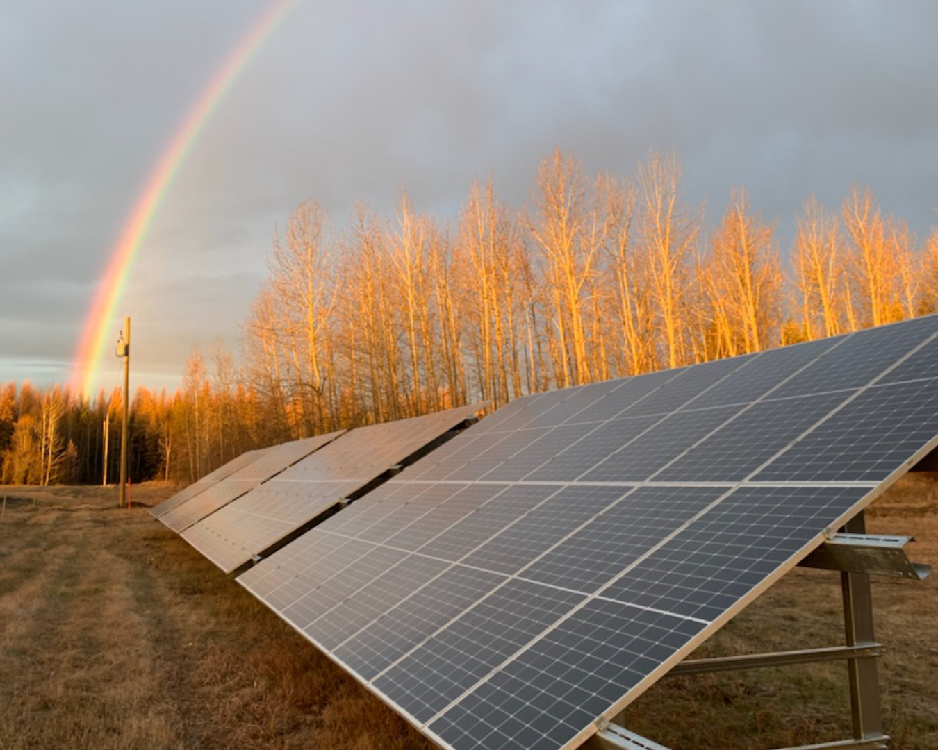 You are currently viewing Solar array at Violet Grove lagoon