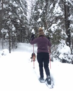 Read more about the article Snowshoeing under the stars: night adventuring in Brazeau and Beyond