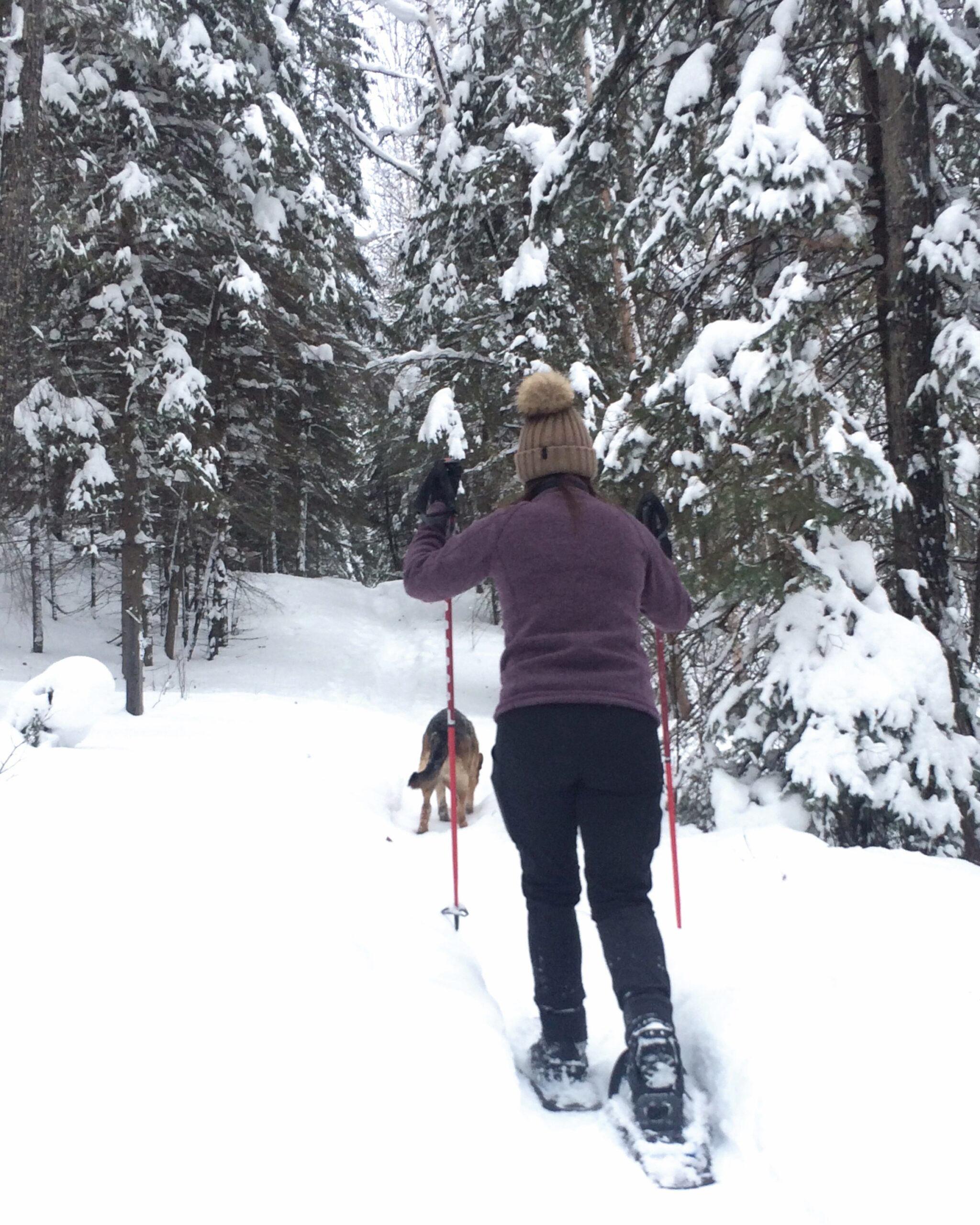 You are currently viewing Snowshoeing under the stars: night adventuring in Brazeau and Beyond