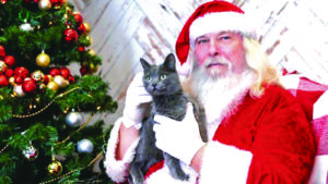 Read more about the article Critters set for Christmas
