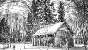 Read more about the article Power through winter