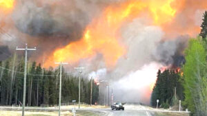 Read more about the article Review examines wildfire response