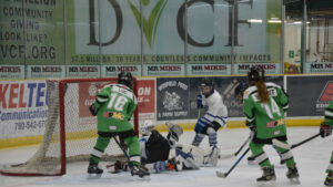 Read more about the article Drayton to host U11 finals