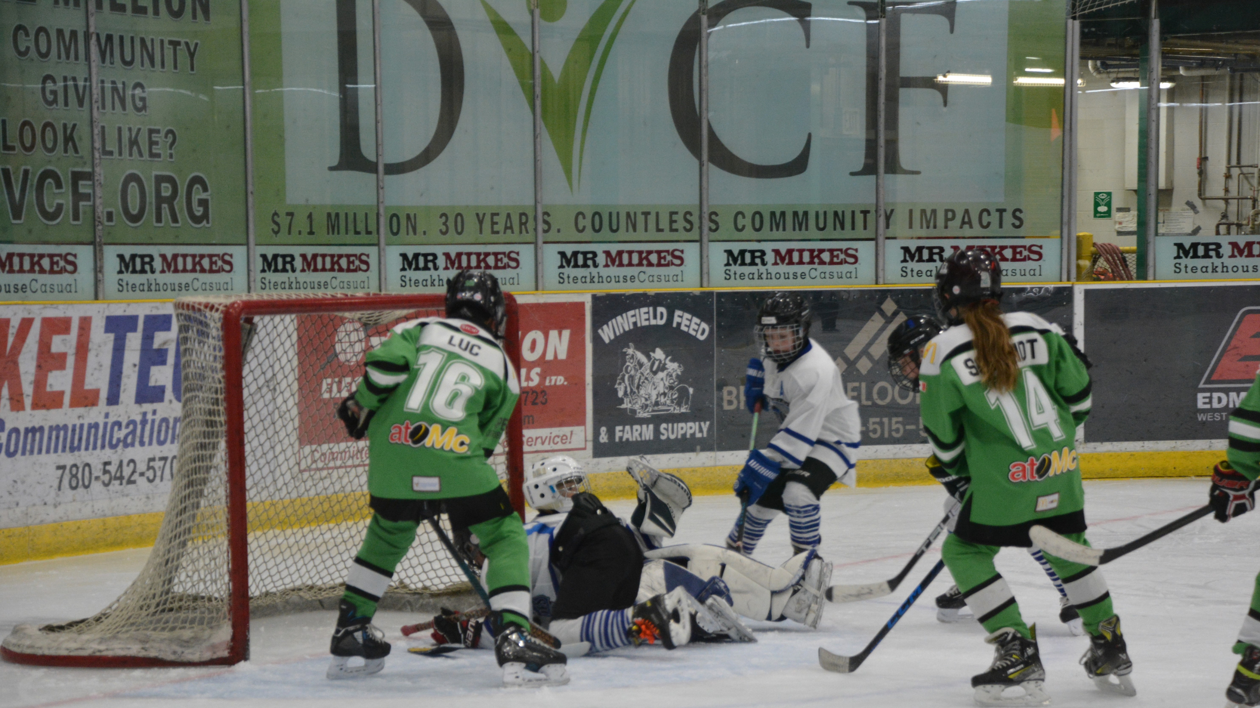 Read more about the article Drayton to host U11 finals